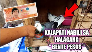 KALAPATI NABILI SA HALAGANG quotBENTE PESOSquot😱 [upl. by Adrianne]