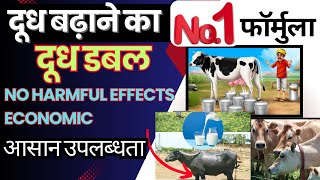 दूध बढ़ाने का No 1 फॉर्मूला 👌🏽दूध डबल 👉🏻No Harmful effects  cow Buffalo milk growth formula [upl. by Abdella76]