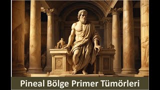 8 Pineal Bölge Primer Tümörleri [upl. by Nnayllehs197]