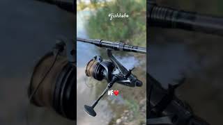 Shorts Boilies fishing CarpArts fishhobo shorts viralvideo [upl. by Curt]