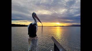 Camping  Culburra Beach Holiday Haven NSW South Coast [upl. by Tiebold]