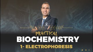 Electrophoresis I Practical Biochemistry I Haematology Module 2024 [upl. by Fonville444]