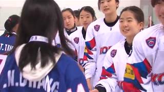 Htv Mundial de hockey femenino sub18 [upl. by Ardnwahsal978]