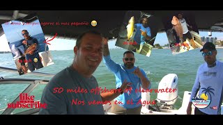 Deep Sea Fishing 50 miles offshore Clearwater [upl. by Rhiana]