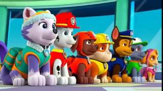 PAW Patrol Marshall x Everest tribute for Adrian Antoio Castillo [upl. by Dachia]