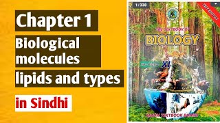 biomolecules lipids class 11 biology [upl. by Eiralam]