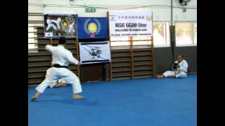 JKS Kata Junro Yondan  Kagawa Sensei demonstration [upl. by Iridis354]