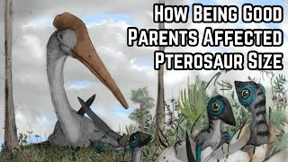 How Being Good Parents Affected Pterosaur Size [upl. by Bayer]