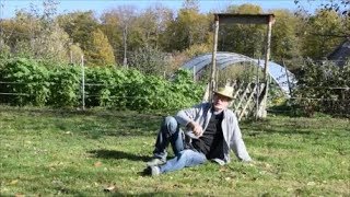 Le Potager du Paresseux  comment cultiver les pommes de terre sans se fatiguer  1 nov 2017 [upl. by Fulvia645]