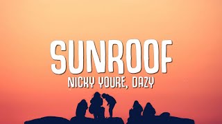 Nicky Youre dazy  Sunroof Lyrics i got my head out the sunroof [upl. by Oiramej681]