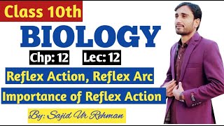 Reflex Action  Reflex arc  Importance of Reflex Action  10th Bio Chp 12 Lec 12 [upl. by Fritz]