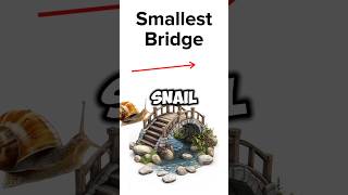 🏁 Race Across the Smallest vs Biggest Bridge in the World 🐌⚡🐆quot [upl. by Ohploda]