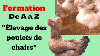 Formation sur lélevage des poulets de chairs [upl. by Geis239]