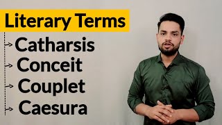 Literary Terms and Devices in hindi Catharsis Conceit Couplet Caesura [upl. by Ella]