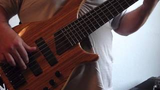 Warmoth Gecko 6 [upl. by Roydd]