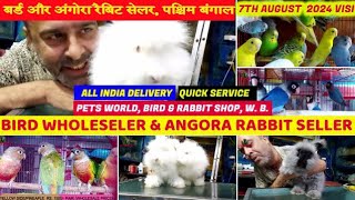 Exotic Bird amp Angora Rabbit SellerQuick Serviceबर्ड और अंगोरा रैबिट सेलरPets World WB782024 [upl. by Ohploda]