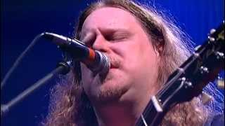 Warren Haynes  Man in Motion [upl. by Eenrahc]