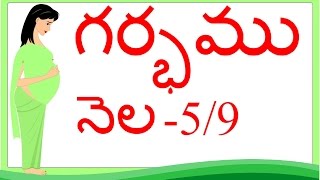 Pregnancy  Telugu  Month 5  గర్భం నెల 5 [upl. by Yseulta369]