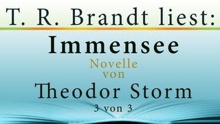 HÖRBUCH Immensee von Theodor Storm Teil 3 [upl. by Yemerej]