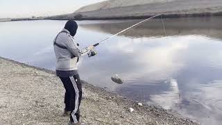 A Quick Fishing Trip to O’Neill Forebay [upl. by Yran919]