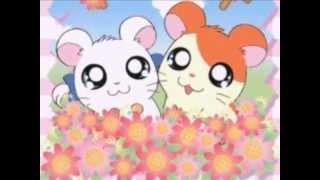 Hamtaro la sigla completa [upl. by Aihtenak]