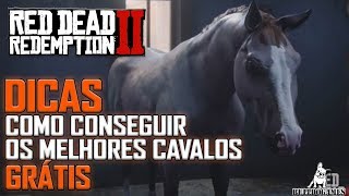 Red Dead Redemption 2  DICAS  COMO CONSEGUIR O GREY ARABIAN E O GOLDEN TURKOMAN GRÁTIS [upl. by Araeic]