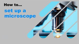 How to set up a microscope [upl. by Macintosh]