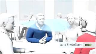 Phonak auto StereoZoom Animation [upl. by Anairol]