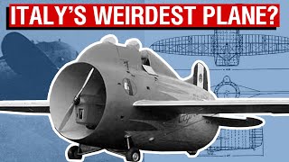 Italy’s Bizarre Flying Barrel  The Stipa Caproni Aircraft Overview 55 [upl. by Shiroma]