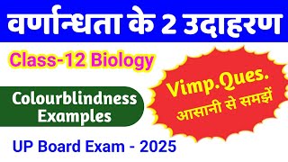 वर्णान्धता पर 2 important questions  varnandhta ki vanshagati class 12  colour blindness example [upl. by Llehsyar183]