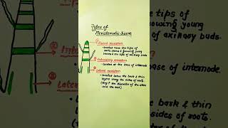 Types of Meristematic tissue meristematic tissue science apical meristem intercalary lateral [upl. by Nekal]