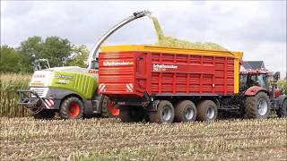 Bart Sprangers mais hakselen 2017 2  Claas Jaguar 960 [upl. by Eenram]