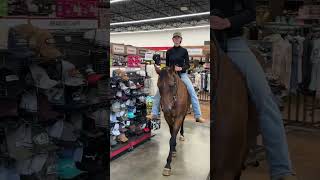 Shopping with Marlowe equestrian quarterhorse horse [upl. by Lazes]