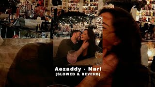 aezaddy  nari “ kenti ka tgouli” official lyrics slowed reverb version aezaddy [upl. by Ennybor]