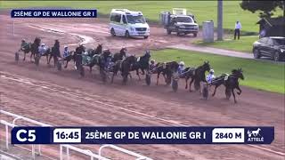 Grand Prix De Wallonie Gr1 2024  Go On Boy amp Romain Derieux 1145 2850m [upl. by Lyndy944]