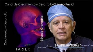 Crecimiento y Desarrollo Bóveda Craneana Parte 3 [upl. by Carnahan]