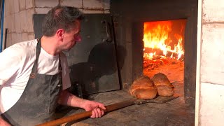 More than 600 years A historic bakery that has been baking in a woodfired oven 🔥【Altamura Italy】 [upl. by Meehan784]