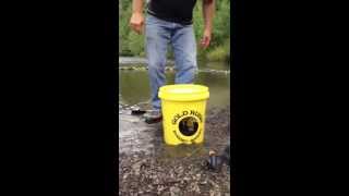 The Best Gold Panning Kit The Gold Rush Nugget Bucket [upl. by Skcirdnek]