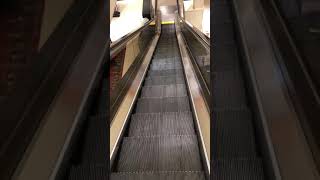 Montgomery Escalators at the former Bergner’s at Cherryvale Mall in Rockford IL [upl. by Somisareg]