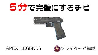 【p2020解説】５分見れば完璧になるぴーにーまる 【プレデターが解説APEX LEGENDS】 [upl. by Ainej]