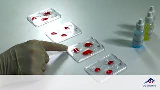 AB0Rh Blood Typing Activity  Video tutorial [upl. by Sharos]