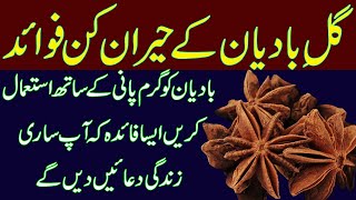 Wonderful Benefits of Badiyan Phool Anise Seed medicare Tips Hindi  UrduBarkaat ul Islaam [upl. by Eiahpets665]