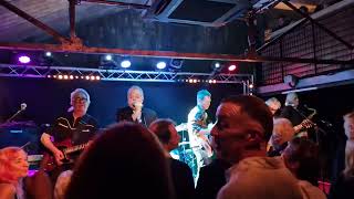 The Blockheads  Reasons to be cheerful part 3 at strings in Newport iow 2024 [upl. by Battat909]