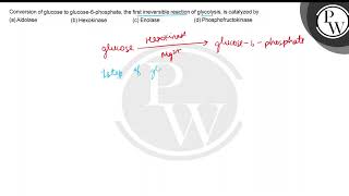 Conversion of glucose to glucose6phosphate the first irreversibl [upl. by Birck]