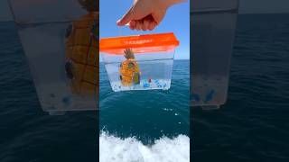 I Saved this Goldfish’s life😳 shorts [upl. by Assenab]