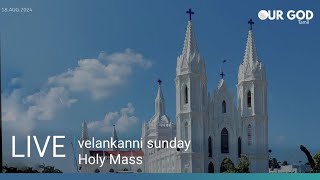 velankanni live mass today  velankanni live [upl. by Pisano]