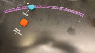 Phosphorylation cascade [upl. by Ever170]