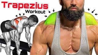 Trapezius workout Effective Trap Workout Routine [upl. by Garin]