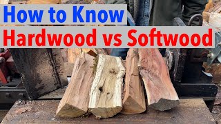 What is the Difference Between Hardwood amp Softwood [upl. by Wickman423]