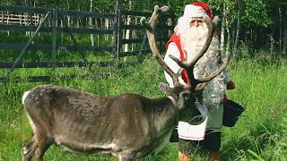 Best of Summer amp Autumn of Santa Claus 🌞🎅🦌 Lapland Finland Father Christmas Rovaniemi [upl. by Itida693]